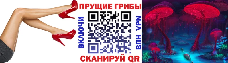 Псилоцибиновые грибы Psilocybe  Ноябрьск 